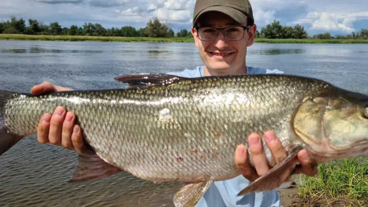 Rekordowy Boleń i nie tylko
