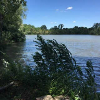 Antal-tavi Fogadó és Horgászparadicsom