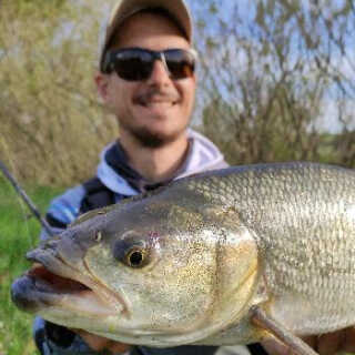 Ивайло Иванов