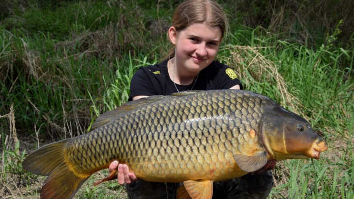 Šupináči z proudu II.