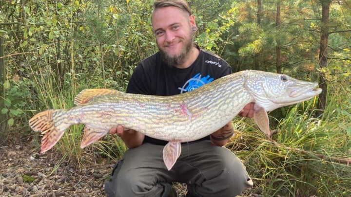 Krokodýlí načasování