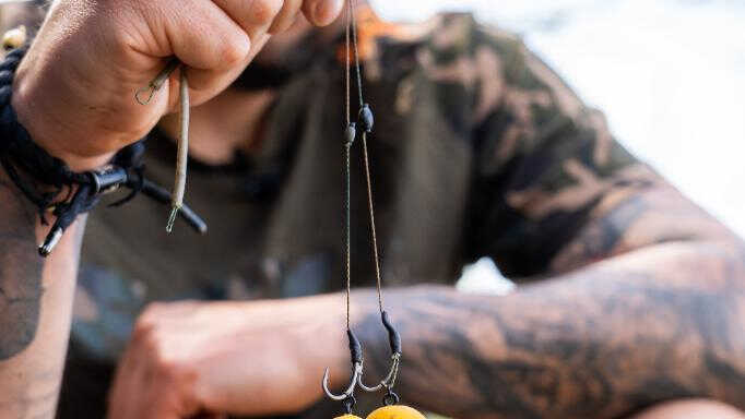 Kilka tysięcy hektarów i ja...