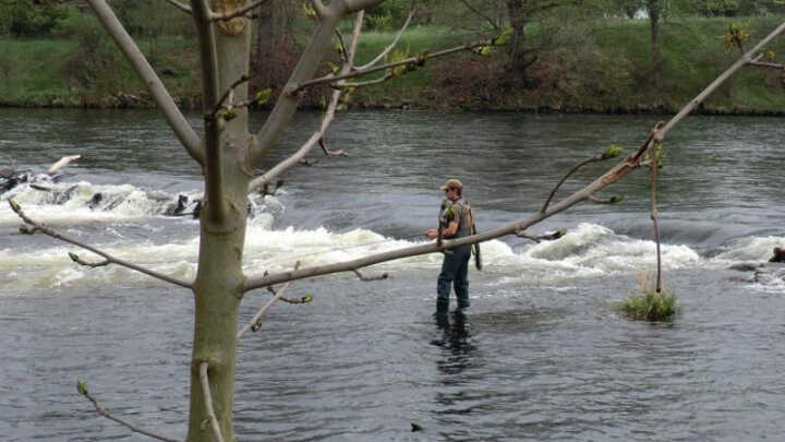 Když vás chytne kouzlo muškaření!