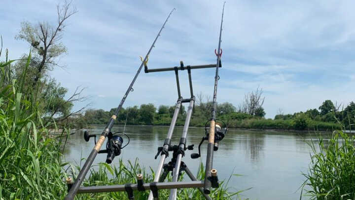 Czerwcowa niespodzianka