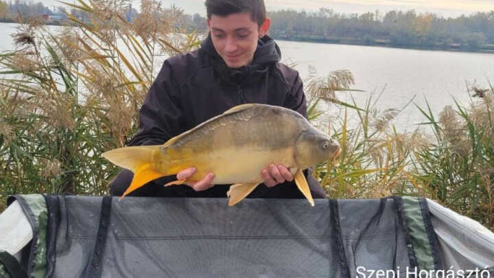 Késő őszi feeder kaland