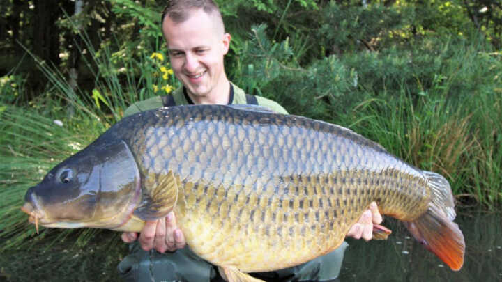 Velikáni ze zabahněných vod