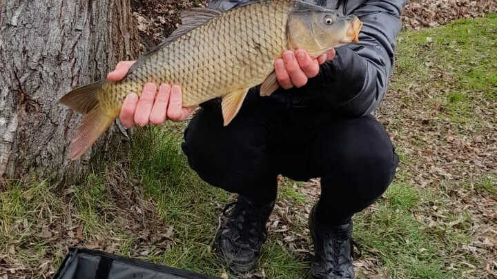 Jarňáky s kapříky a kámošem