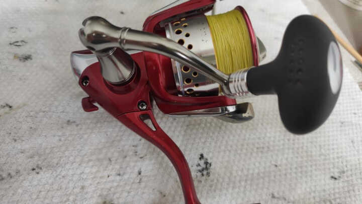 10 letni Zgred Arc i kilka porad.