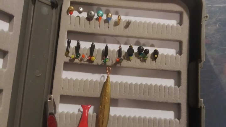 okonie z pierwszego lodu