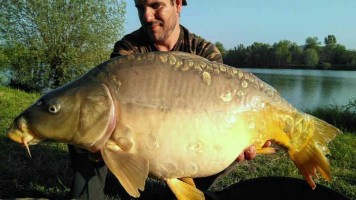 La vida del carpfishing