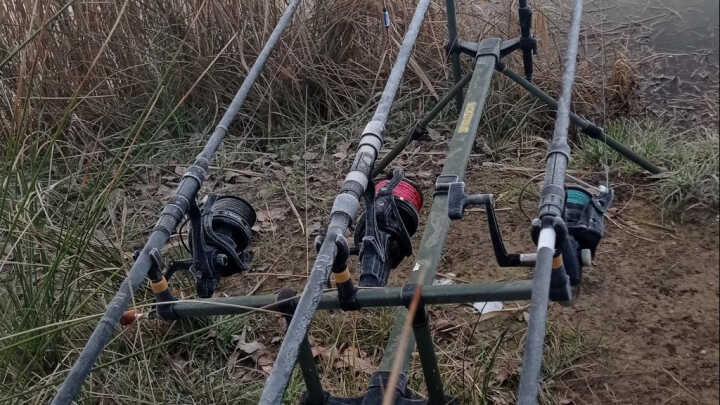 CARPFISHING BAJO CERO