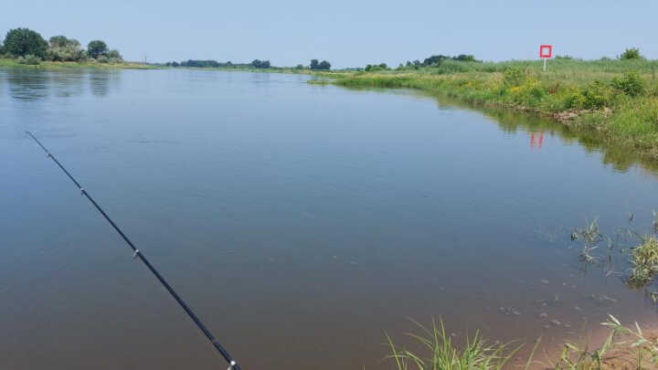 Sumowisko przy kamieniach