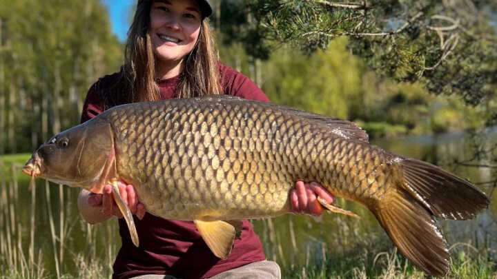 Karpie na chleb, cz. I