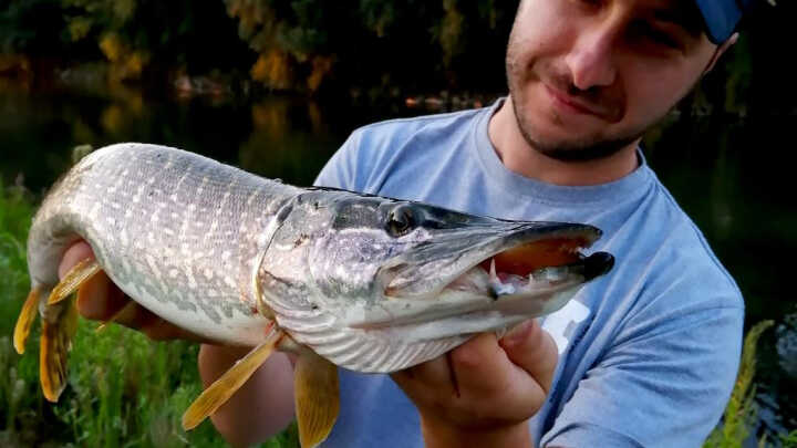 Марица - река пълна с изненади