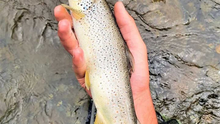 SIEMPRE APRENDIENDO 28/08/2020