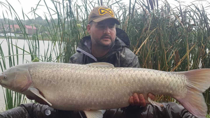 Crapi mari,ploaie indelungata!