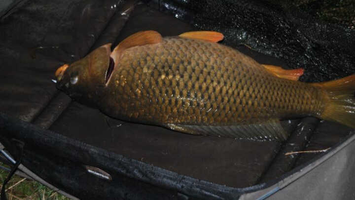 Kaprařina na lehko 1. díl