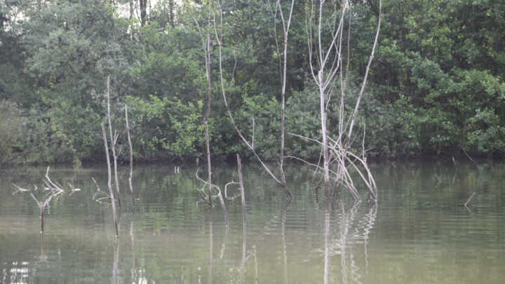 Lov kaprů v extrémních vázkách