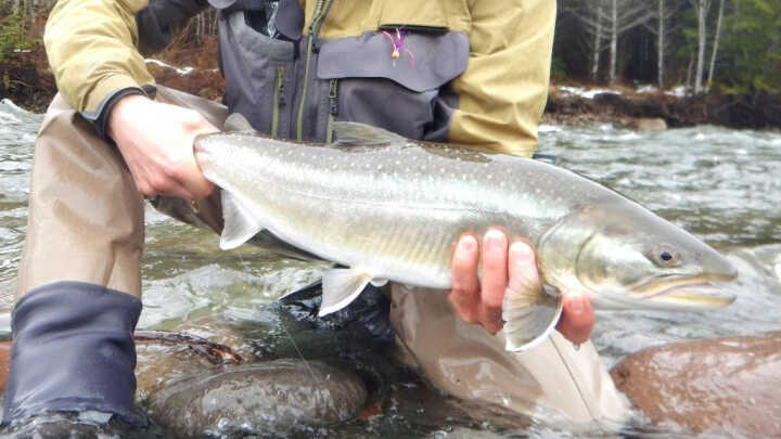 Březen... tisíce hodů!
