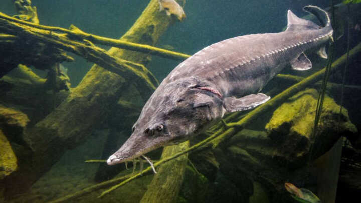 WPŁYW pory dnia na połów