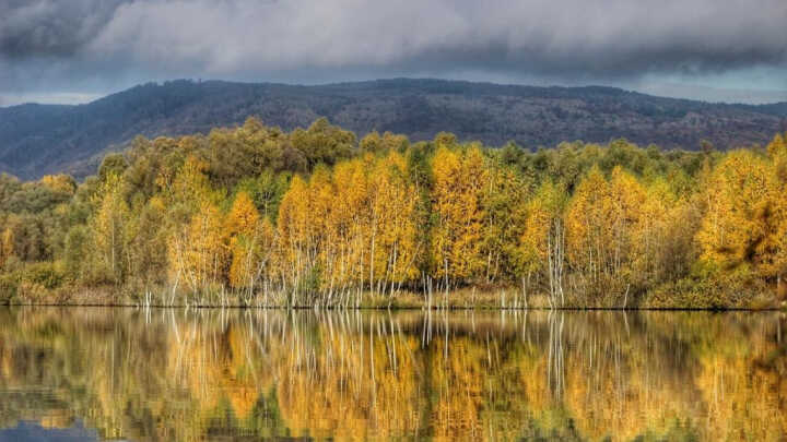 Bomba před výbuchem