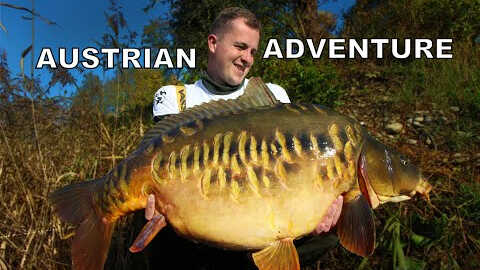 Nádherný lysec z rakouského jezera