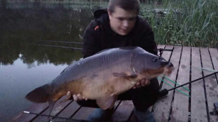 Raz na wozie,raz pod wozem