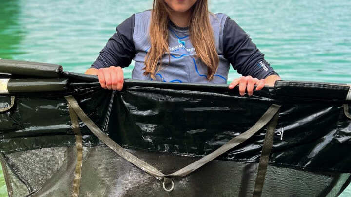 Karpie z Podlasia - cz. II