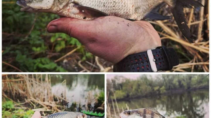 Опарышевая атака