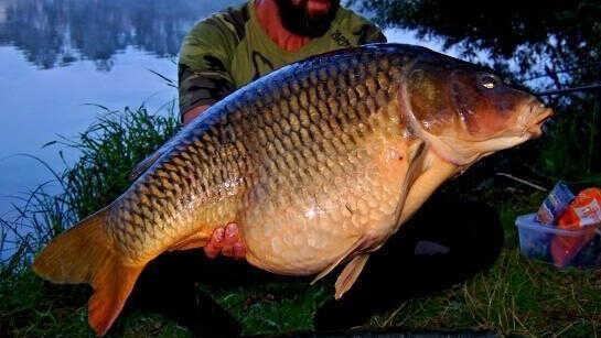 Catch and release! OR? Catch and don't let go?