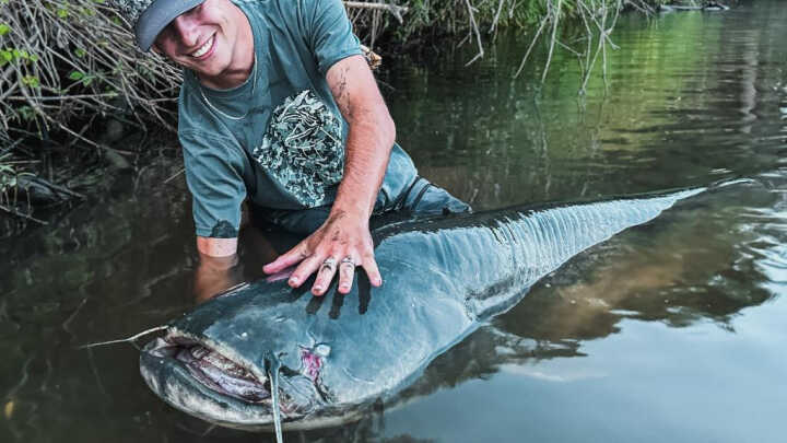 ŽIVOTNÍ ÚLOVEK: Sumec, který všechno změnil