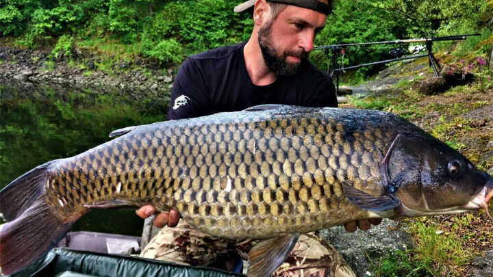 Roční období kapraře - díl první