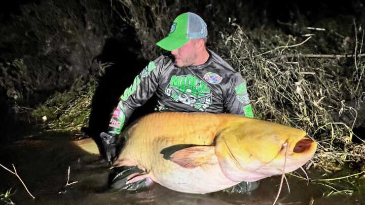 Zlatý poklad z české řeky