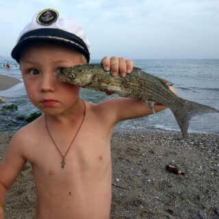 Даниил Цветов