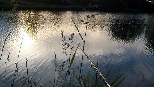 Plavaná nejen pro začátečníky