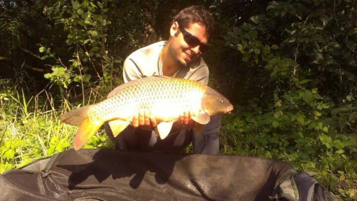 Jak ryba cítí bolest? | Rybo.cz