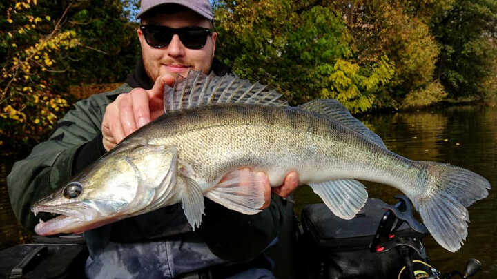 Jak na candáty? Barva gumové nástrahy.