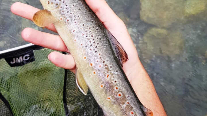 GOZANDO A SECA - 20/06/2020