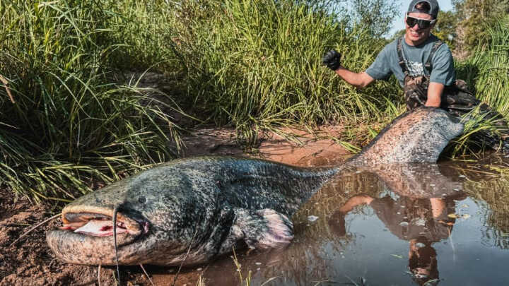 ZA SUMCI DO ZAHRANIČÍ - FRANCIE