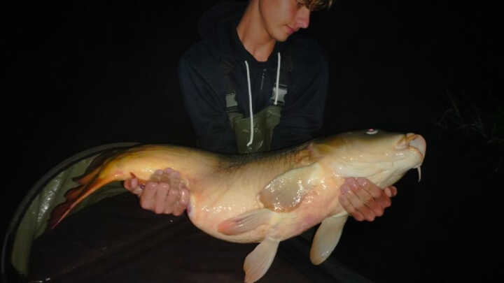 Labe zase nadělilo a splnilo letošní předsevzetí