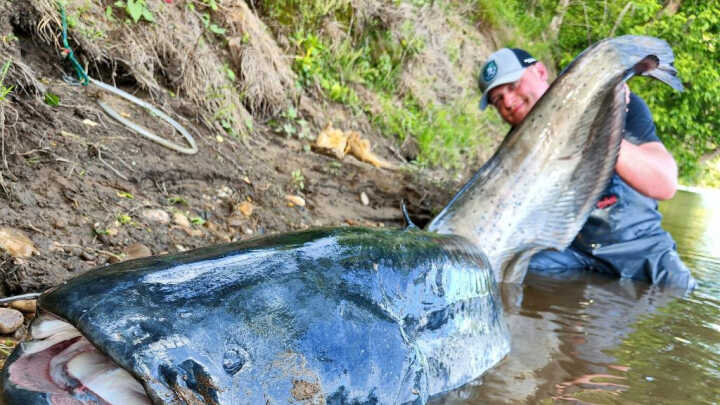 Pierwsze sumy na płytko