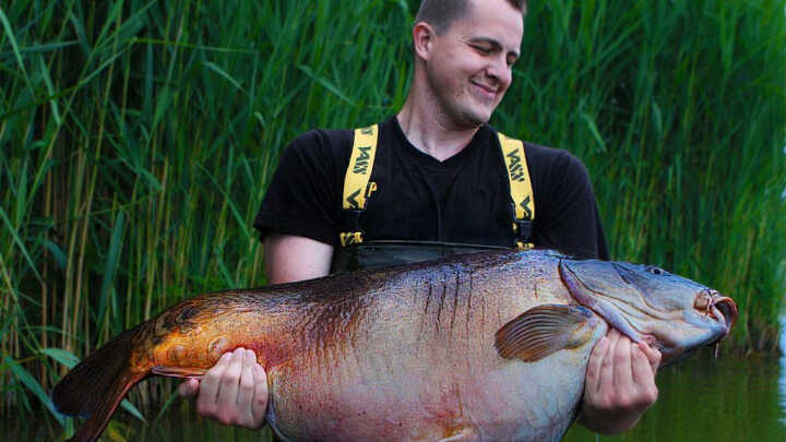 Závislost na lovu gigantů – tipy pro lov velkých kaprů