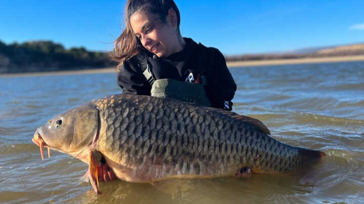 FRIO INVIERNO - CARPA GRANDE