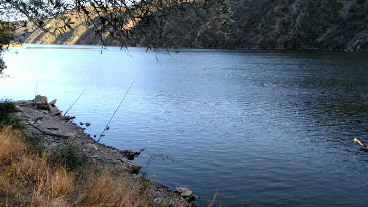 Cebadero con cebos de elaboración propia