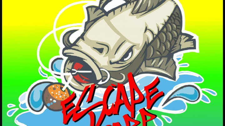 Състезание SURVIVOR BULGARIA 2021