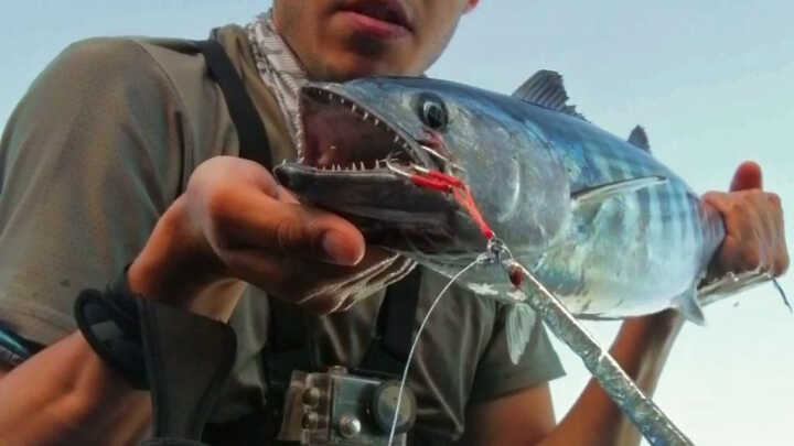 Spinning e Shore Jigging a Tenerife