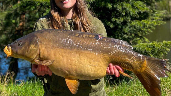 Karpie z marszu, cz. II