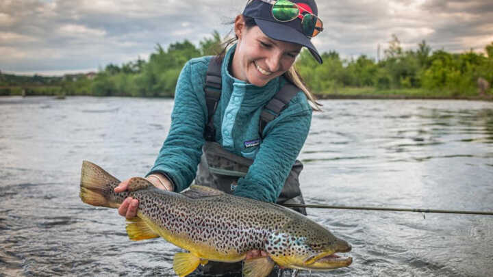 European brown trout paradise