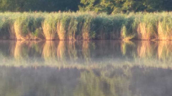 powrót do wędkarstwa