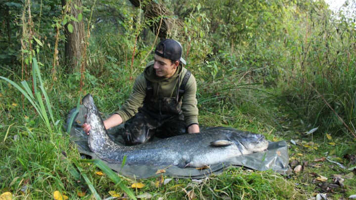Základy lovu SUMCE | ČÁST 3. |